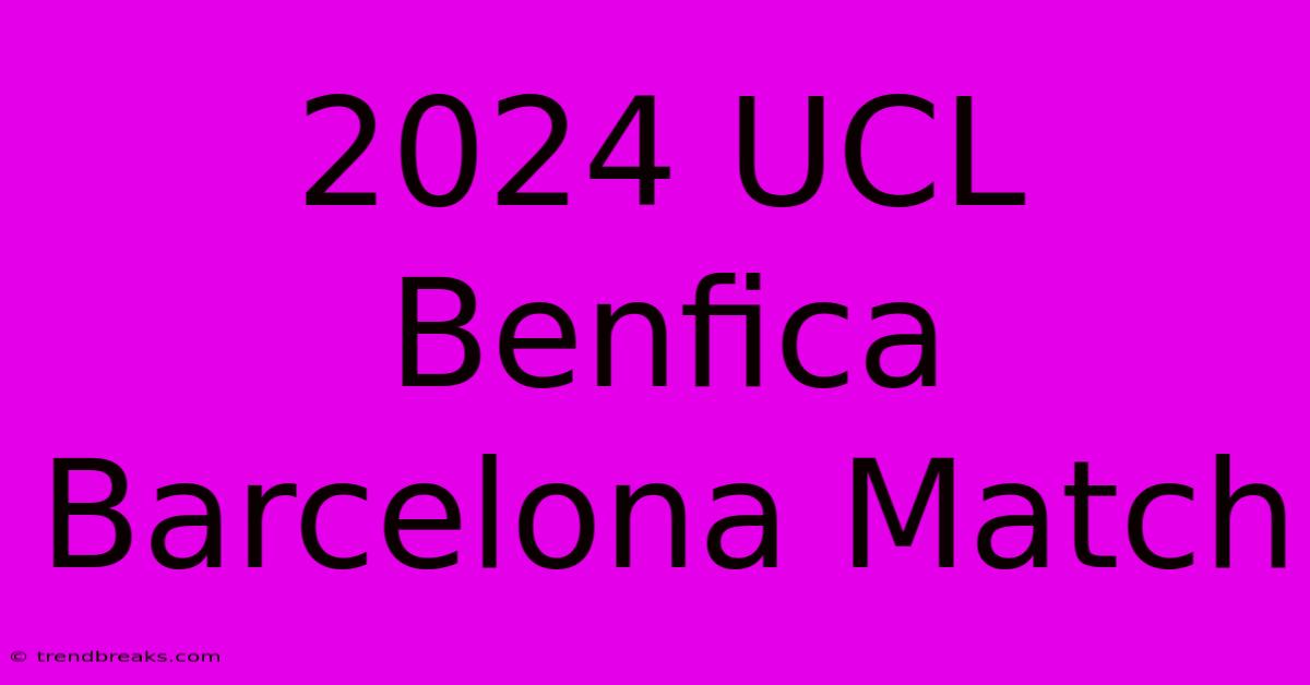 2024 UCL Benfica Barcelona Match