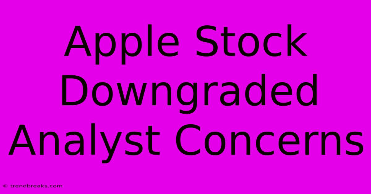 Apple Stock Downgraded Analyst Concerns