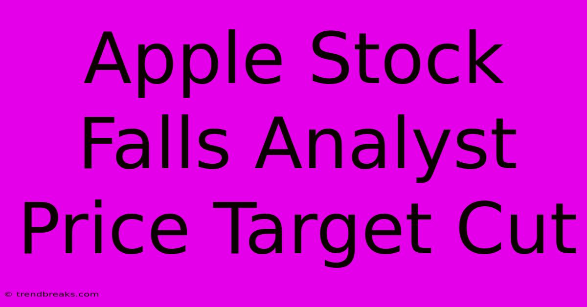 Apple Stock Falls Analyst Price Target Cut