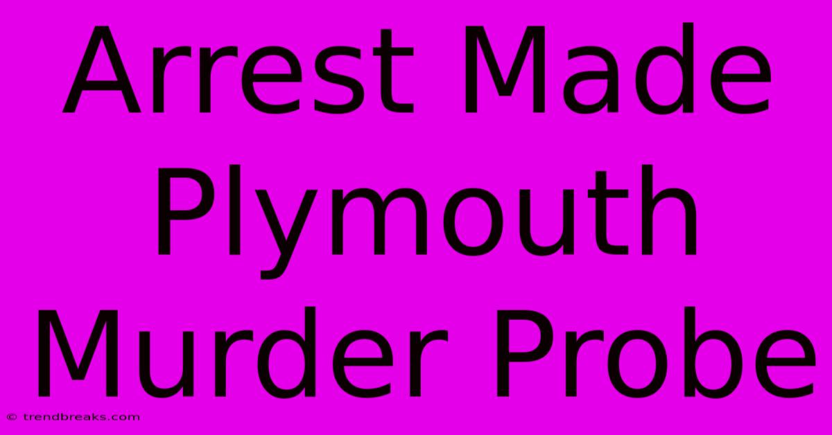 Arrest Made Plymouth Murder Probe