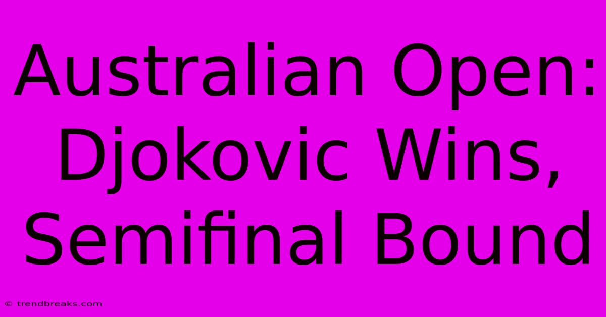 Australian Open: Djokovic Wins, Semifinal Bound