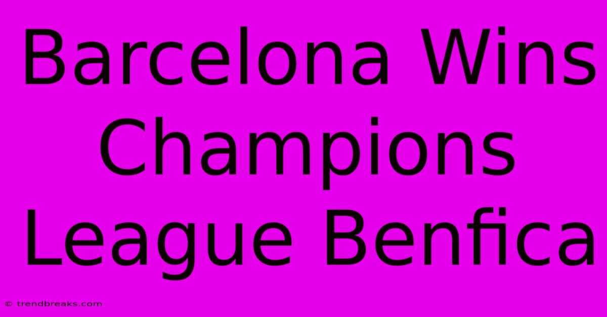 Barcelona Wins Champions League Benfica