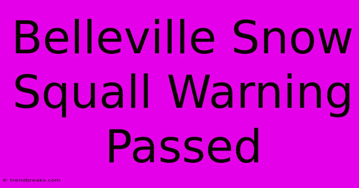 Belleville Snow Squall Warning Passed