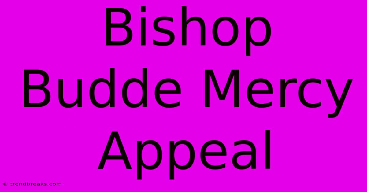 Bishop Budde Mercy Appeal