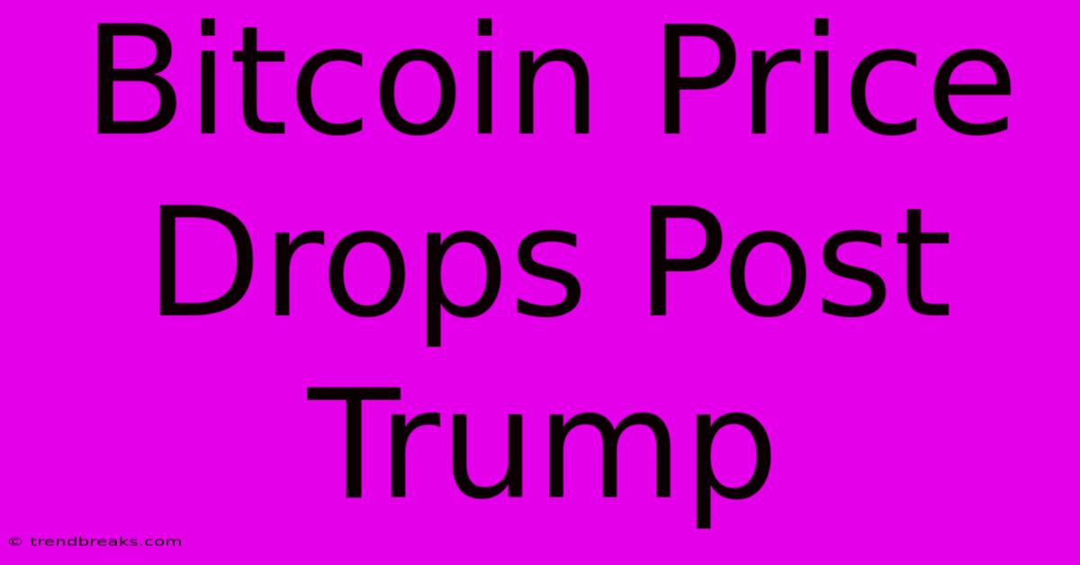 Bitcoin Price Drops Post Trump