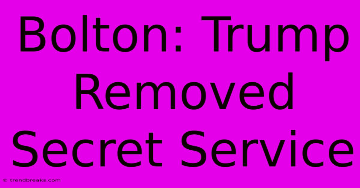 Bolton: Trump Removed Secret Service