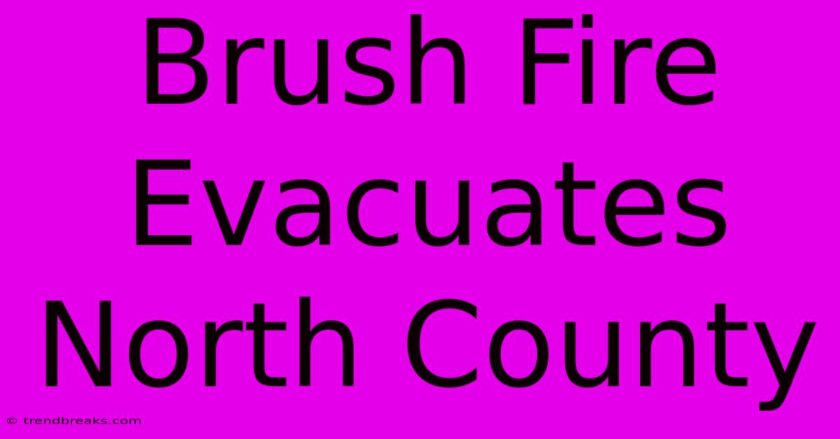 Brush Fire Evacuates North County