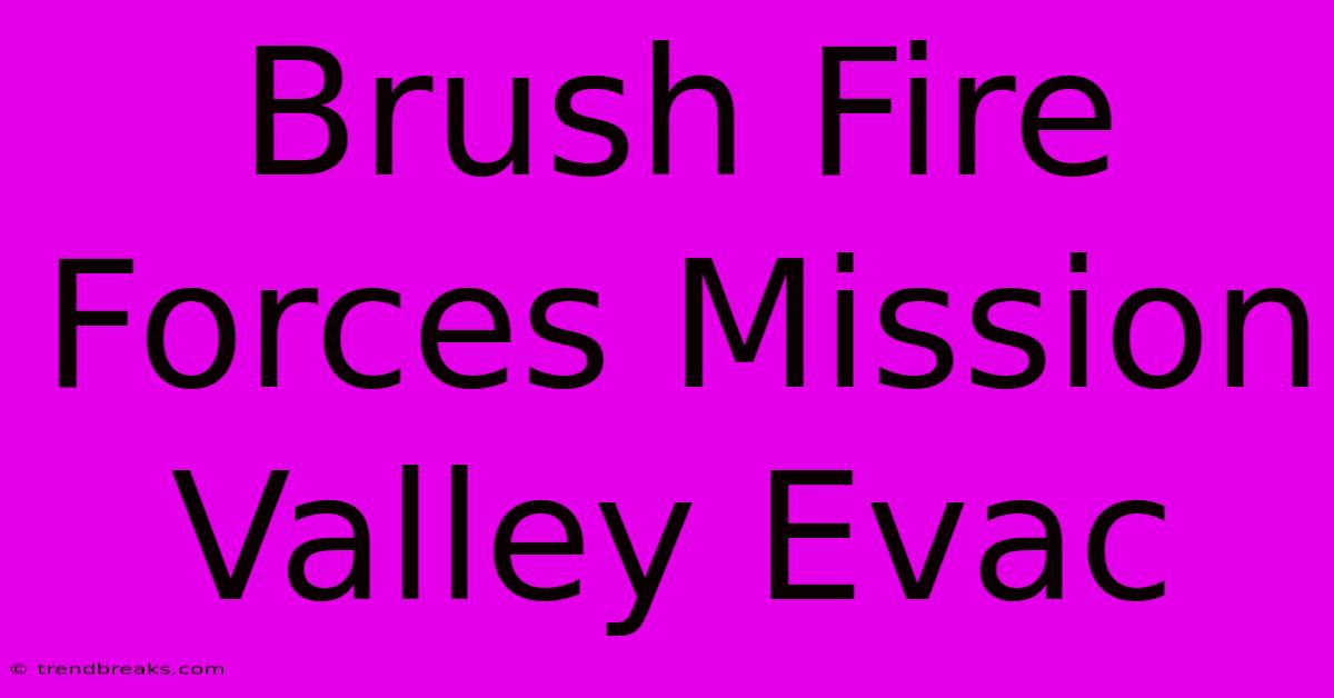 Brush Fire Forces Mission Valley Evac