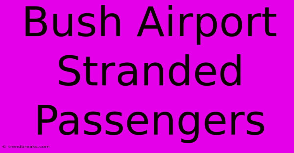 Bush Airport Stranded Passengers