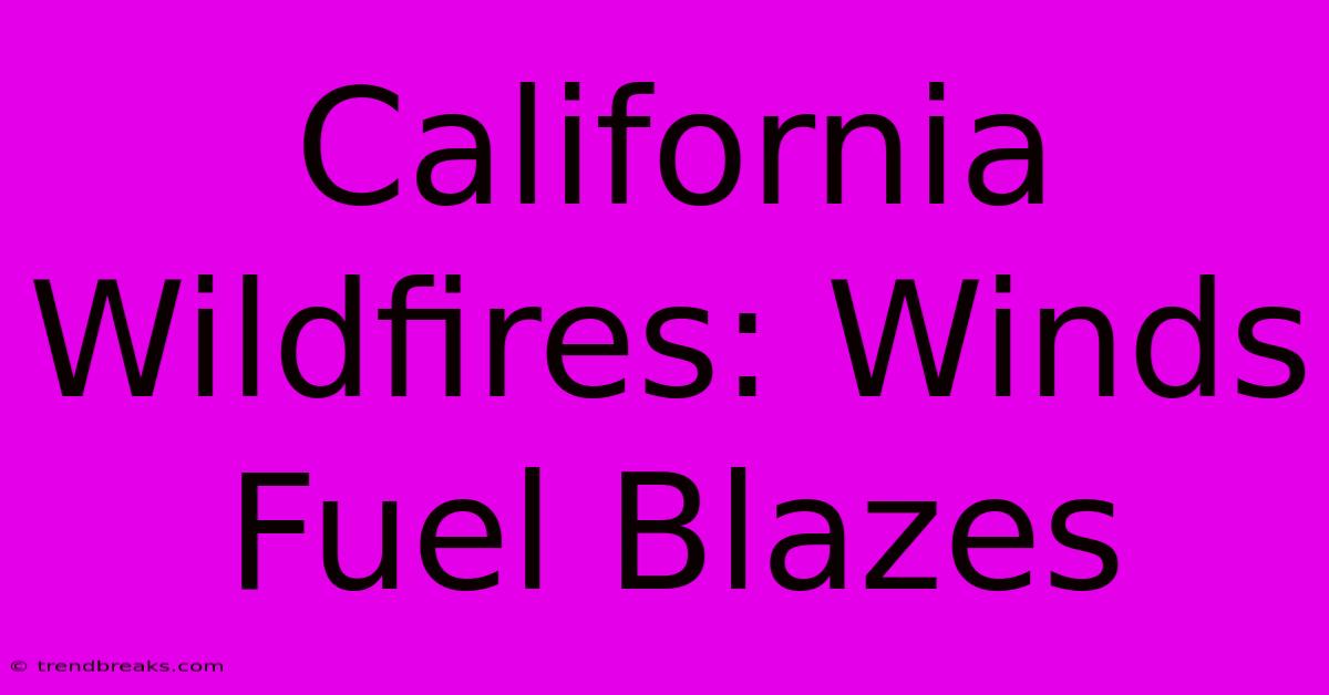 California Wildfires: Winds Fuel Blazes