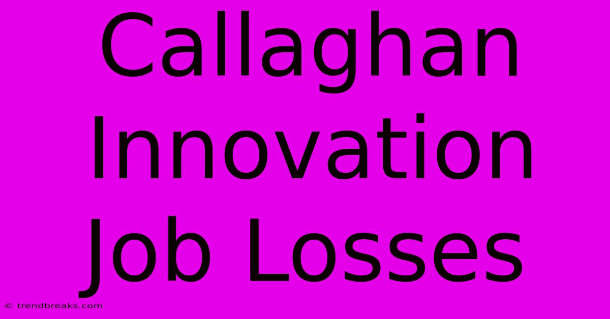 Callaghan Innovation Job Losses