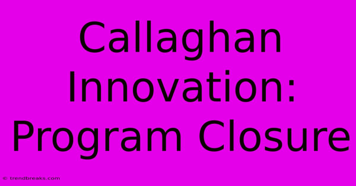 Callaghan Innovation: Program Closure