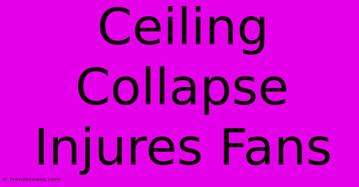 Ceiling Collapse Injures Fans