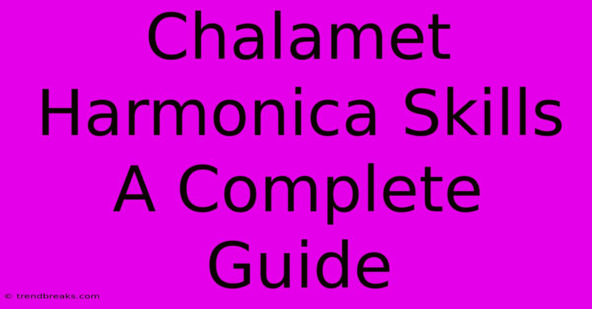 Chalamet Harmonica Skills A Complete Guide