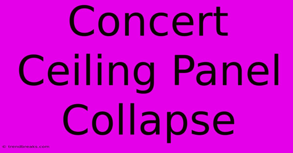 Concert Ceiling Panel Collapse