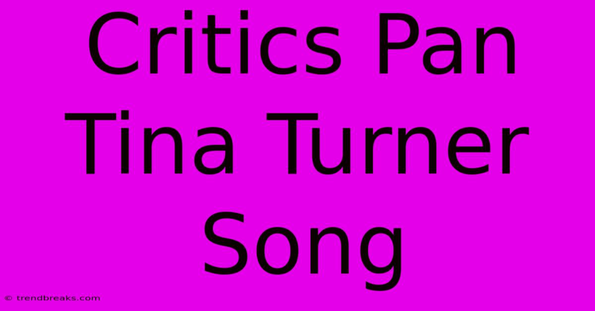 Critics Pan Tina Turner Song