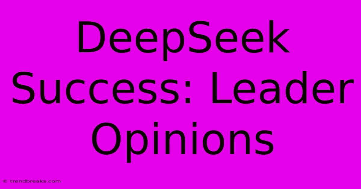 DeepSeek Success: Leader Opinions 