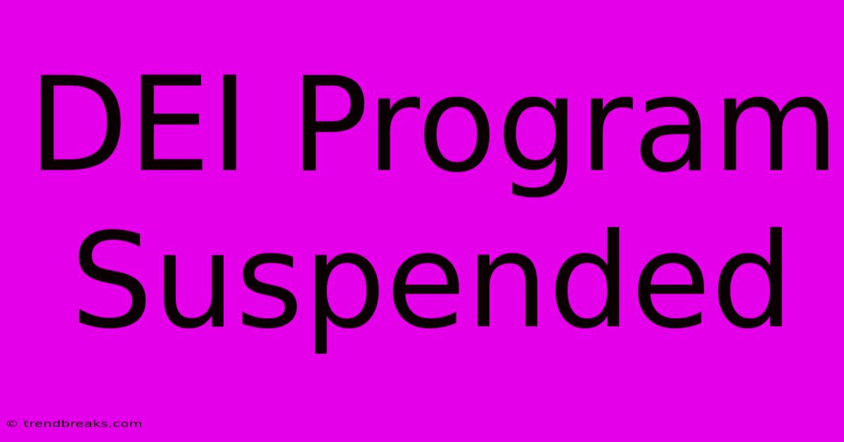 DEI Program Suspended