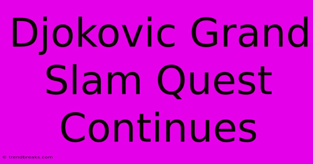 Djokovic Grand Slam Quest Continues