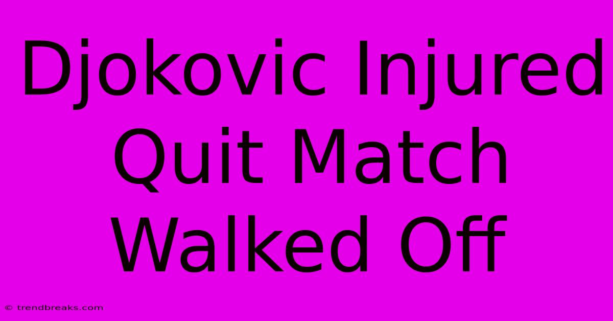 Djokovic Injured Quit Match Walked Off