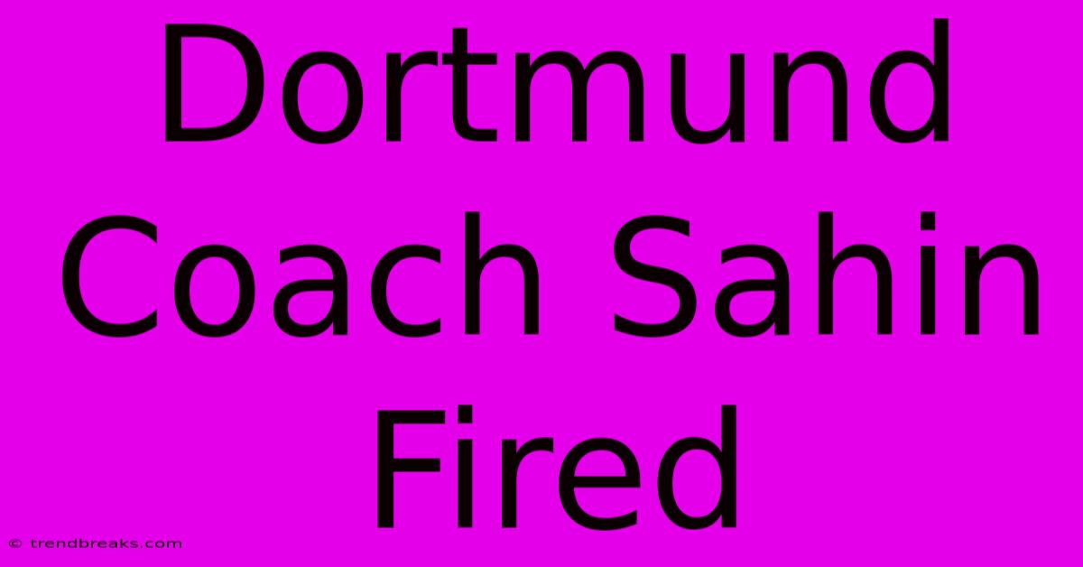 Dortmund Coach Sahin Fired