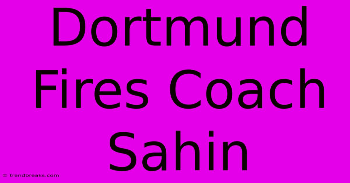 Dortmund Fires Coach Sahin