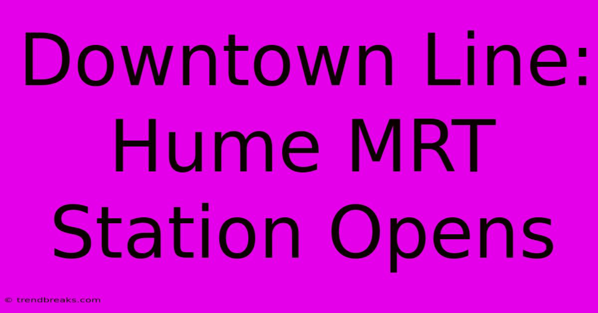 Downtown Line: Hume MRT Station Opens