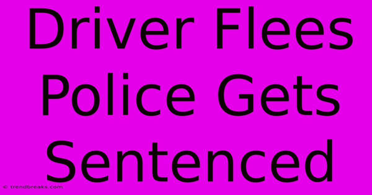 Driver Flees Police Gets Sentenced