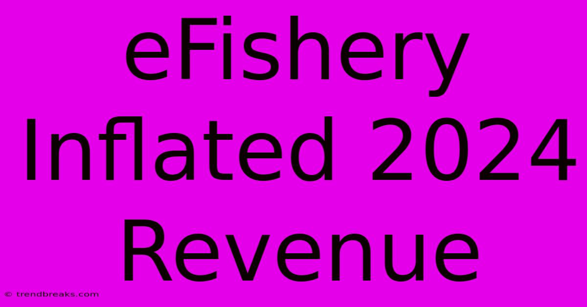 EFishery Inflated 2024 Revenue