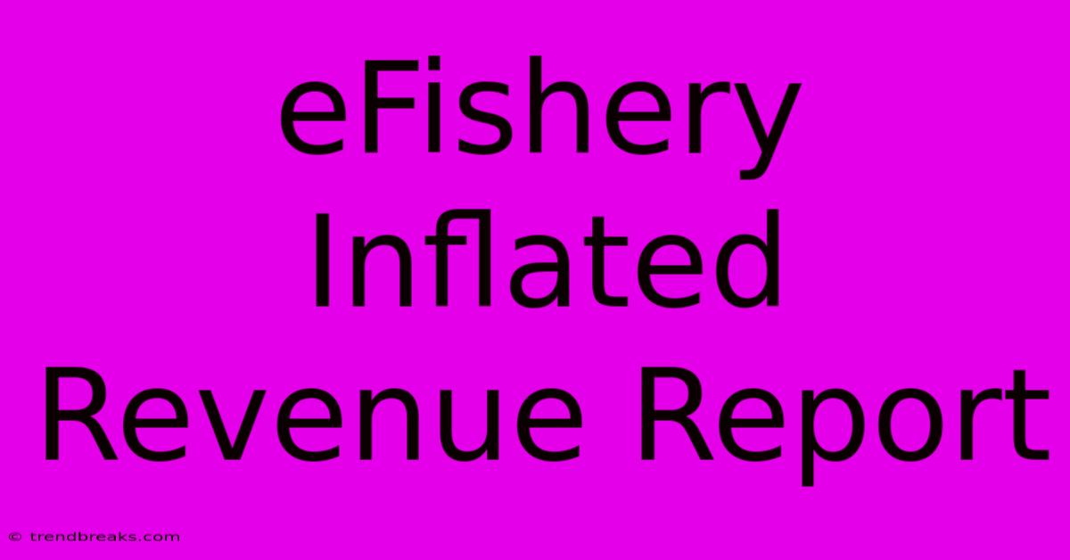 EFishery Inflated Revenue Report