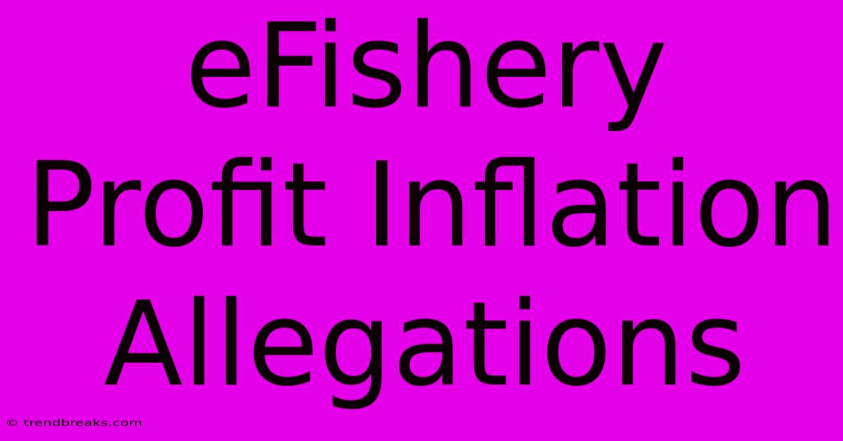 EFishery Profit Inflation Allegations