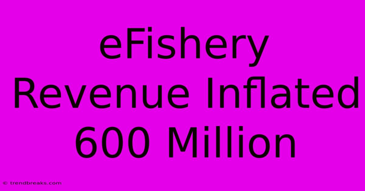 EFishery Revenue Inflated 600 Million