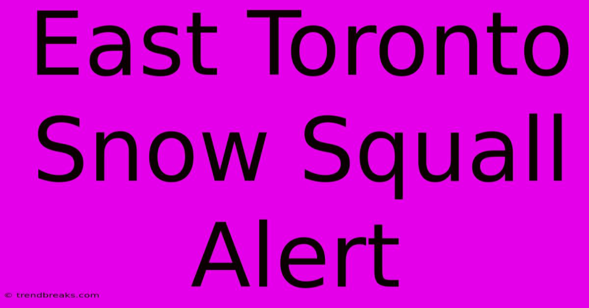 East Toronto Snow Squall Alert