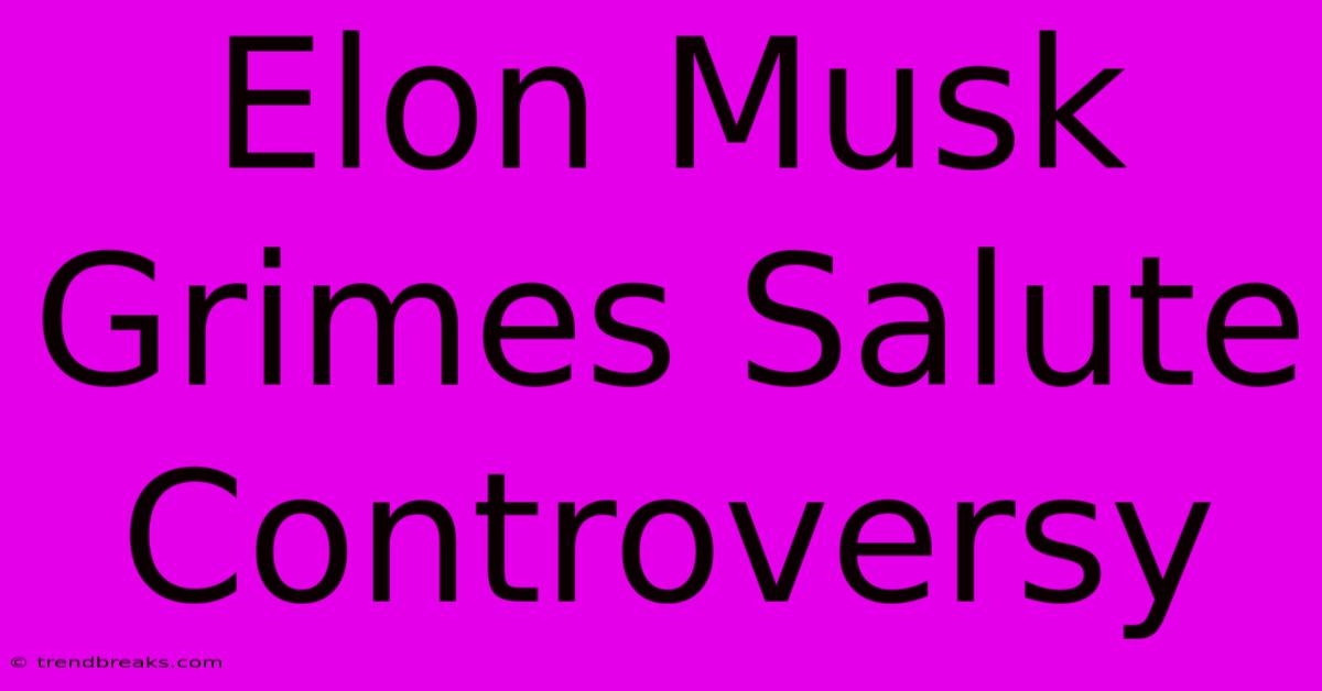 Elon Musk Grimes Salute Controversy