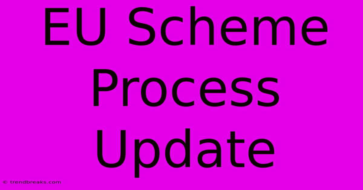 EU Scheme Process Update 