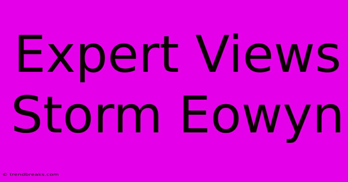 Expert Views Storm Eowyn