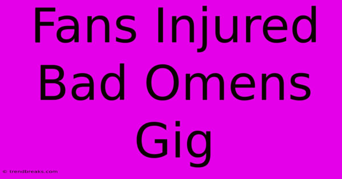 Fans Injured Bad Omens Gig