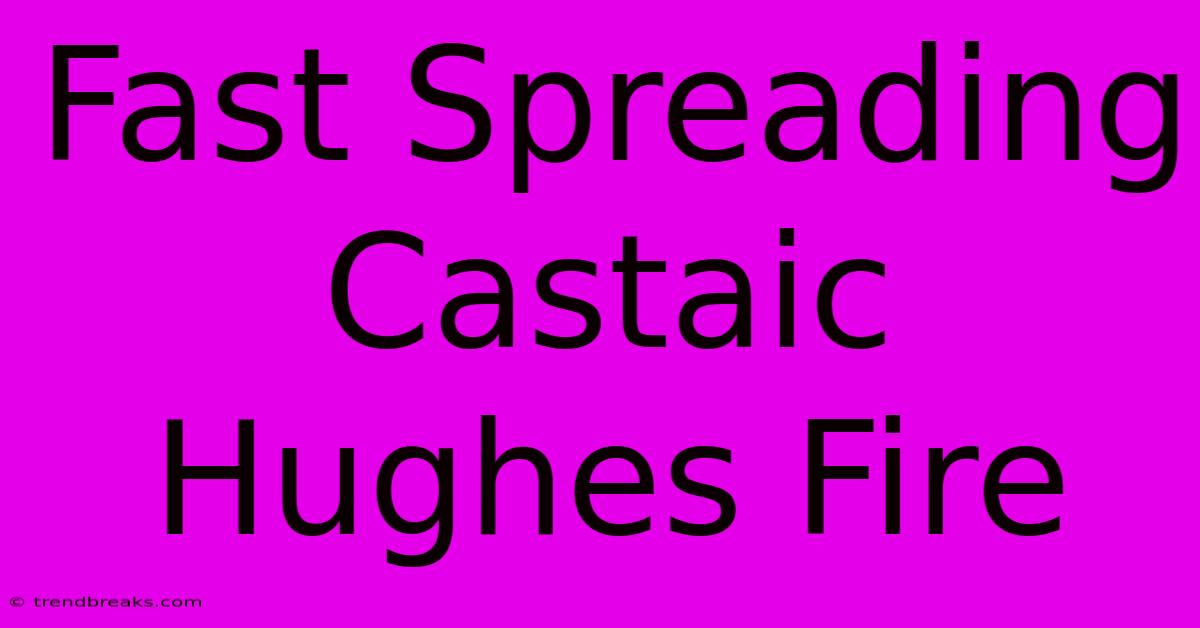 Fast Spreading Castaic Hughes Fire