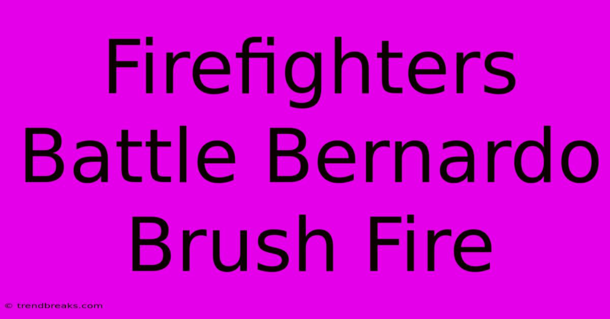 Firefighters Battle Bernardo Brush Fire