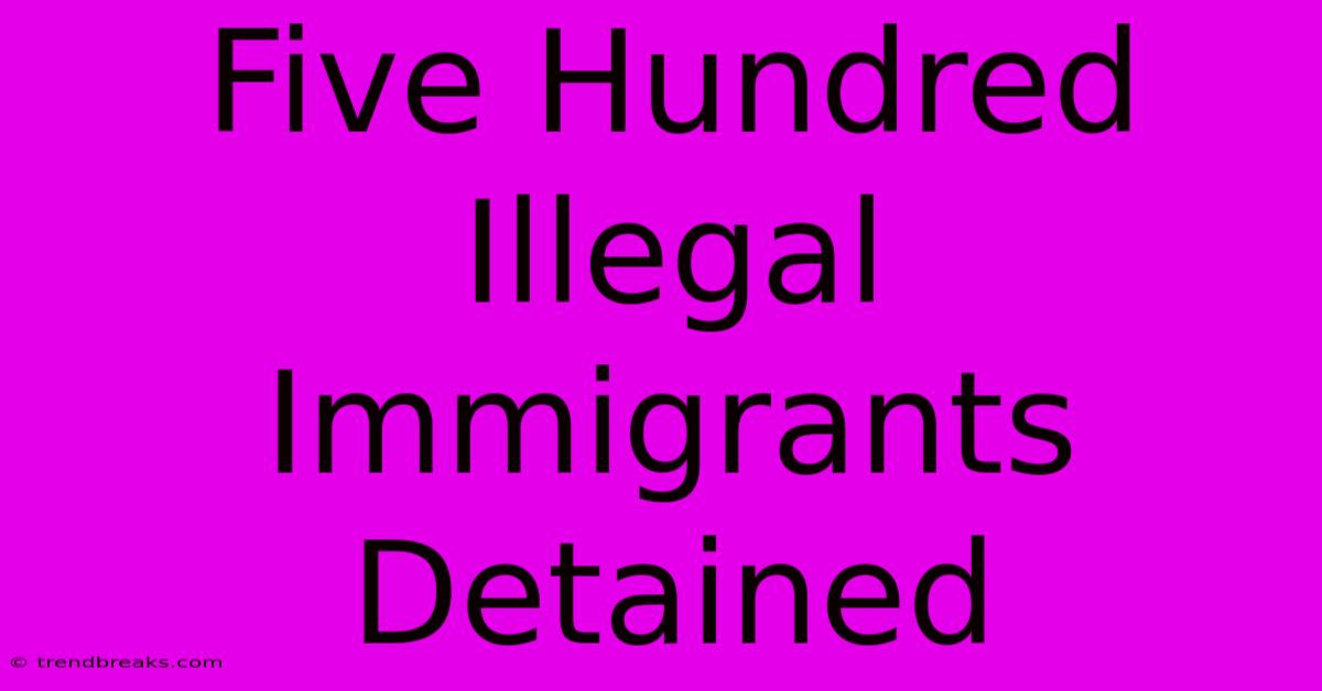 Five Hundred Illegal Immigrants Detained