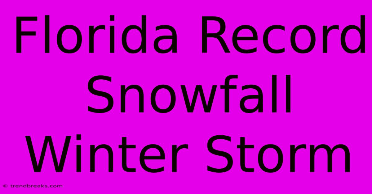 Florida Record Snowfall Winter Storm