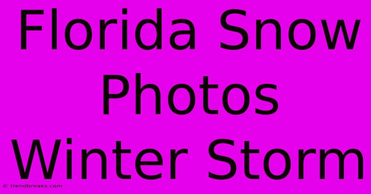 Florida Snow Photos Winter Storm