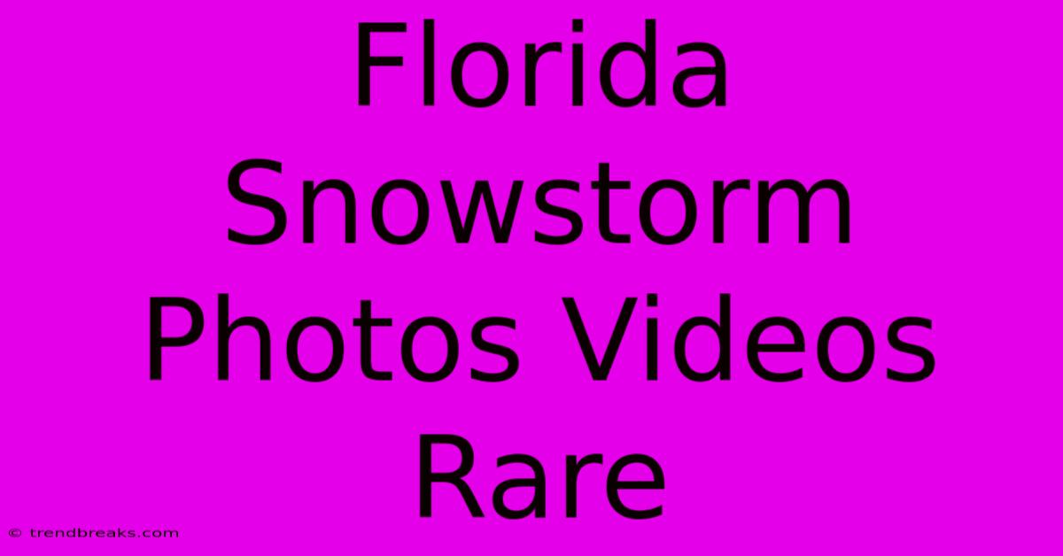 Florida Snowstorm Photos Videos Rare