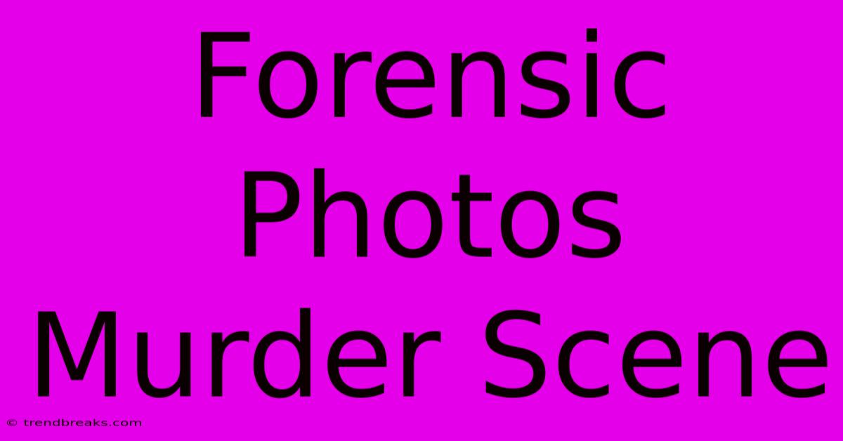 Forensic Photos Murder Scene