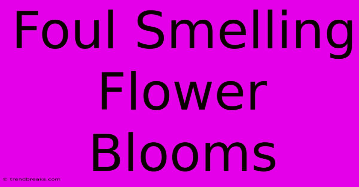 Foul Smelling Flower Blooms