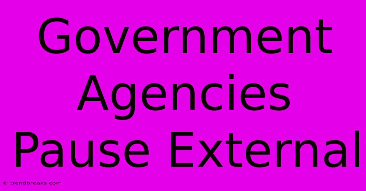 Government Agencies Pause External