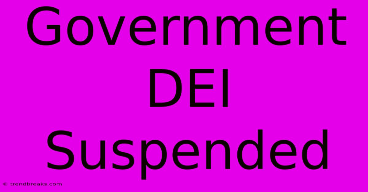 Government DEI Suspended