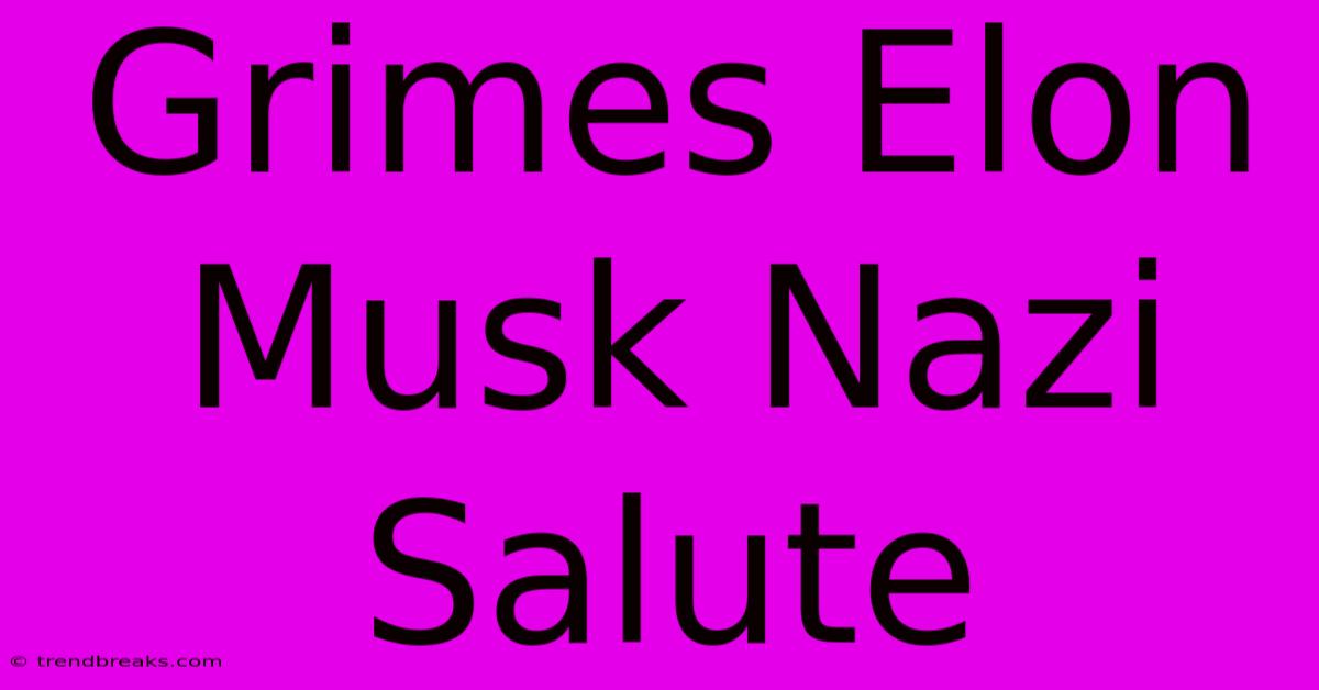 Grimes Elon Musk Nazi Salute