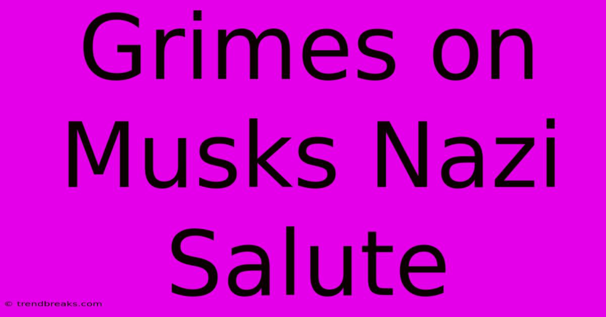 Grimes On Musks Nazi Salute