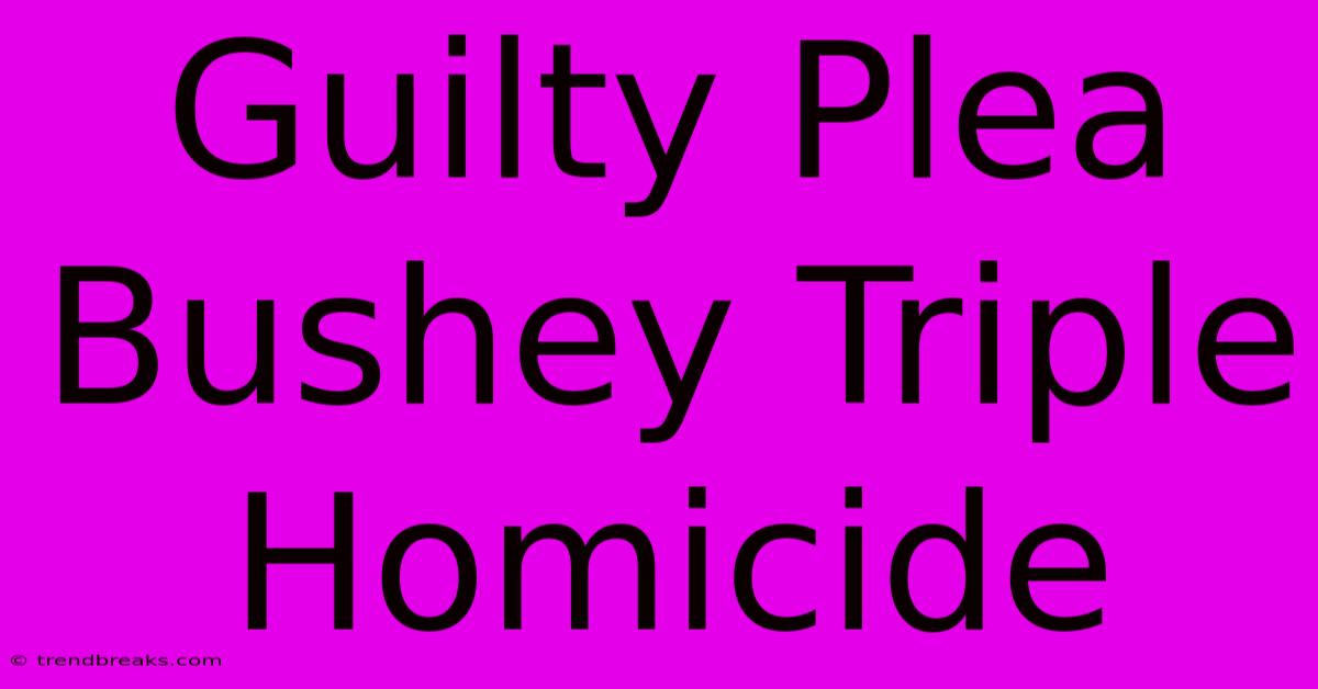 Guilty Plea Bushey Triple Homicide